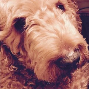 Meet your Posher, Jackie